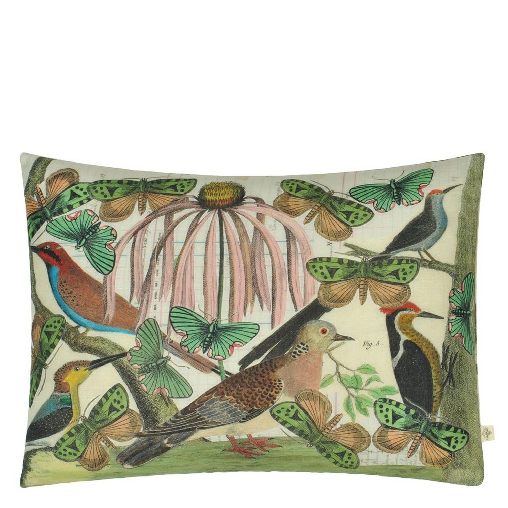 Floral Aviary Cushion In Parchment By John Derian Multi